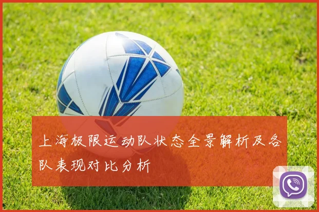 上海极限运动队状态全景解析及各队表现对比分析